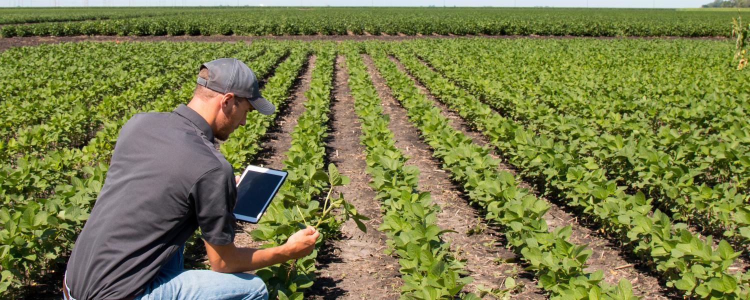 banner of Modern Agricultural Techniques Take Advantage of Farm Management Software