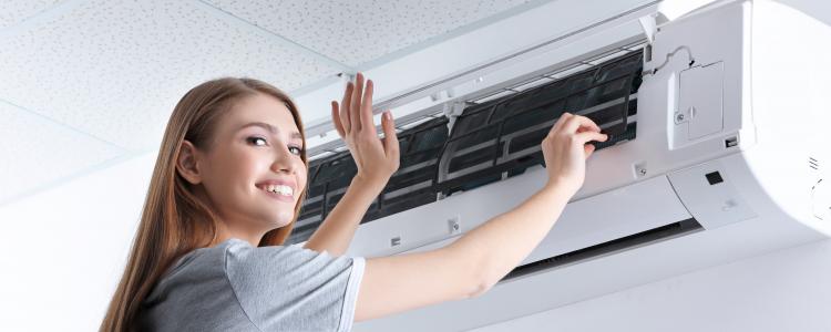 main of Every Home Deserves Fresh Air From An Air Purifier