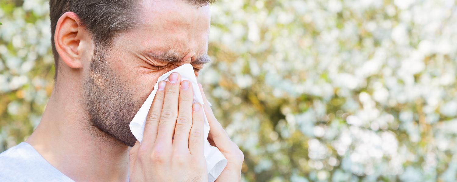 banner of Everything You Need to Know About Allergies