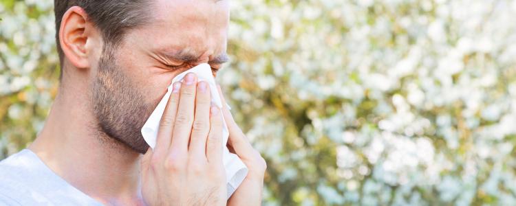 main of Everything You Need to Know About Allergies